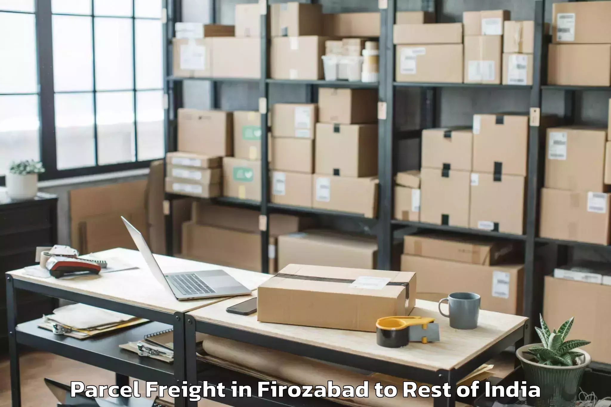 Expert Firozabad to Srinagar Parcel Freight